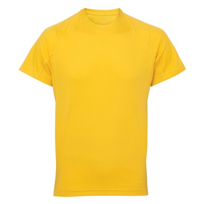 Maglietta tecnica con pannelli TriDri®