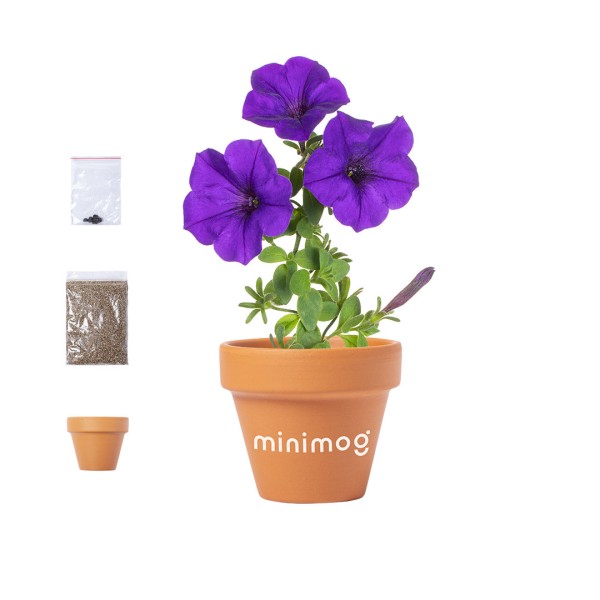 Vaso - cod. MK6791