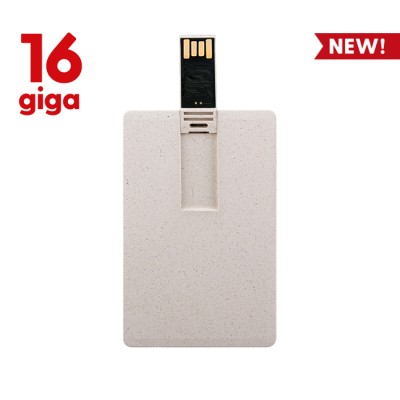 Memoria usb 16 gb - Memory cod. PF107-16
