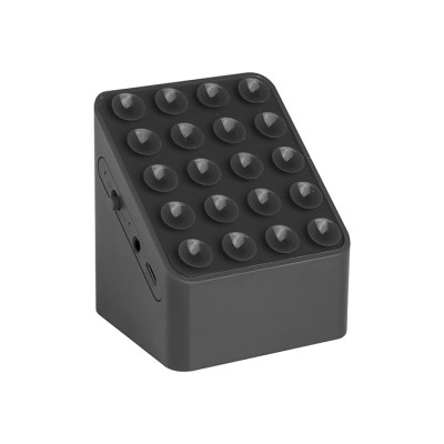 Altoparlanti Speaker