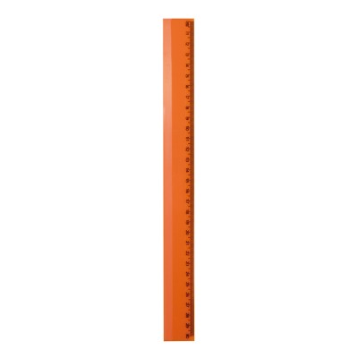 Righello personalizzato da 30 cm.