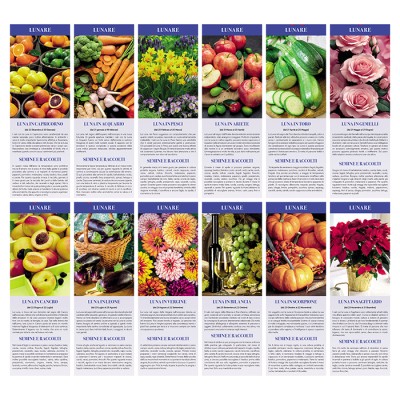 Calendario Illustrato mensile 12 fogli - Orto e giardino cod. PA152