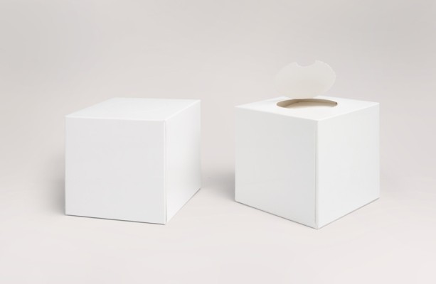 Scatole con logo di fazzoletti Scatole con logo di fazzoletti